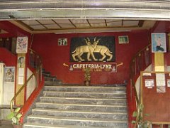 ORAN AOUT 2007 cinema le Lynx 1